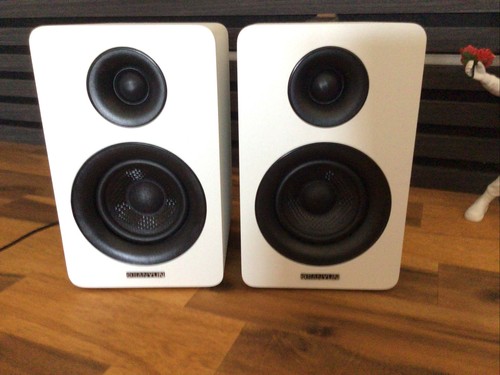 Sanyun sw208 aktive - sw208,